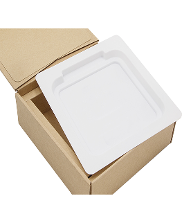Blister Tray & Corrugated Box